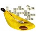 Going Bananas!! 