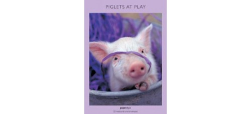 Piglets At Play Notecards 