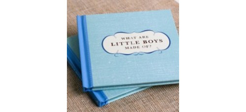 What Are Little Boys Made Of? 